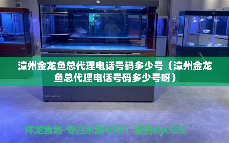 漳州金龍魚總代理電話號碼多少號（漳州金龍魚總代理電話號碼多少號呀）