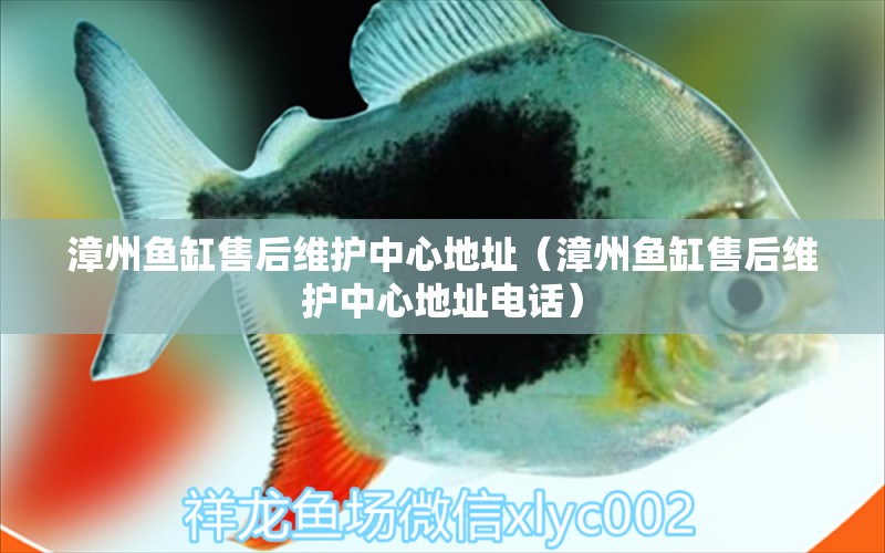 漳州魚缸售后維護(hù)中心地址（漳州魚缸售后維護(hù)中心地址電話）