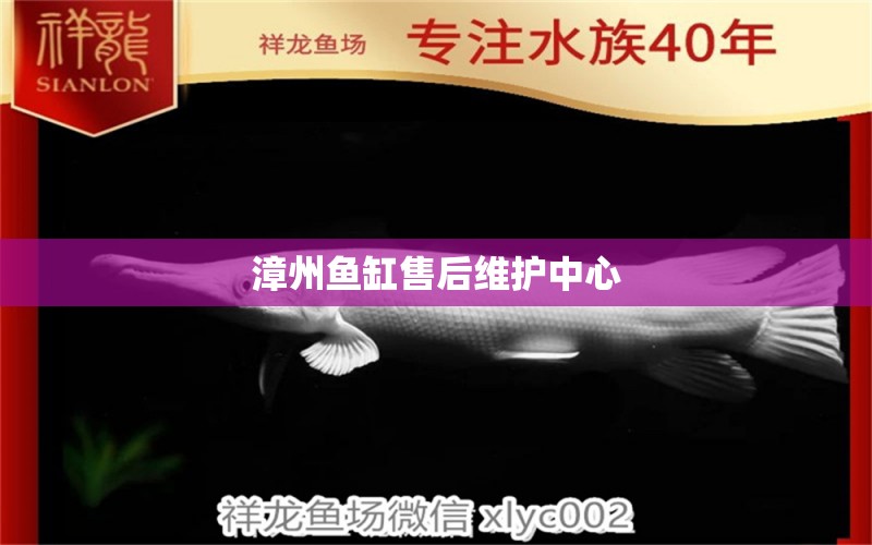 漳州魚(yú)缸售后維護(hù)中心