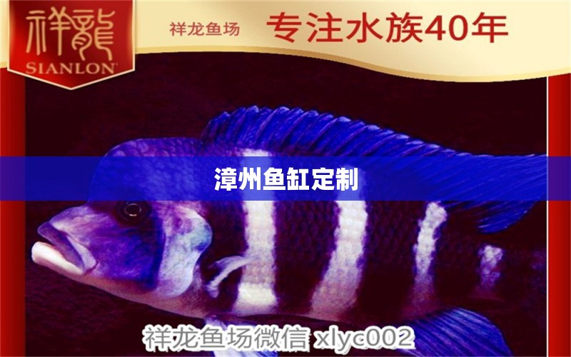 漳州魚缸定制