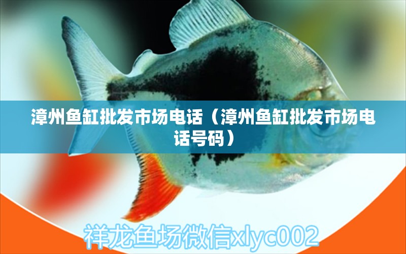 漳州魚缸批發(fā)市場(chǎng)電話（漳州魚缸批發(fā)市場(chǎng)電話號(hào)碼）