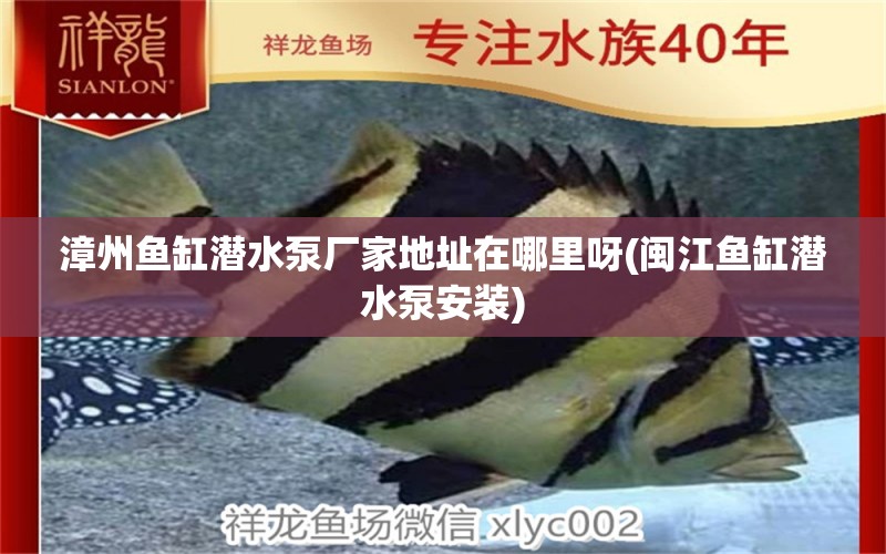 漳州魚缸潛水泵廠家地址在哪里呀(閩江魚缸潛水泵安裝) 紅尾平克魚 第1張