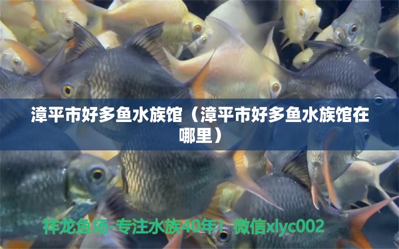 漳平市好多魚水族館（漳平市好多魚水族館在哪里）