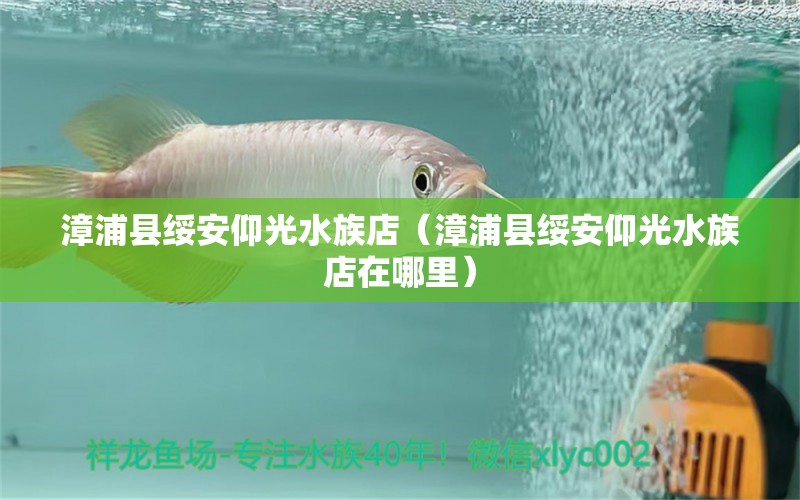 漳浦縣綏安仰光水族店（漳浦縣綏安仰光水族店在哪里） 全國水族館企業(yè)名錄