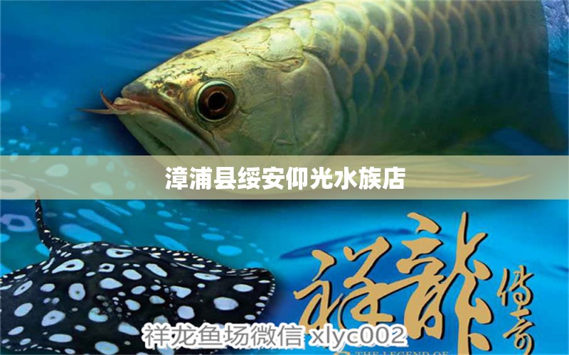 漳浦縣綏安仰光水族店