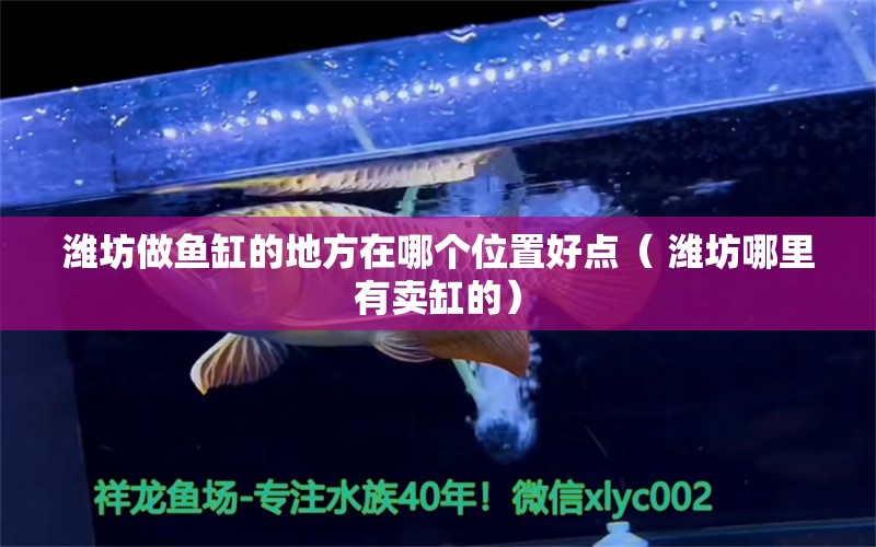 濰坊做魚(yú)缸的地方在哪個(gè)位置好點(diǎn)（ 濰坊哪里有賣缸的） 赤焰中國(guó)虎魚(yú) 第1張