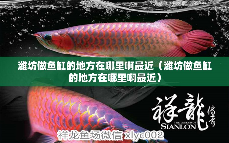 濰坊做魚缸的地方在哪里啊最近（濰坊做魚缸的地方在哪里啊最近） 祥龍水族醫(yī)院