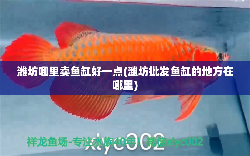 濰坊哪里賣魚缸好一點(濰坊批發(fā)魚缸的地方在哪里)