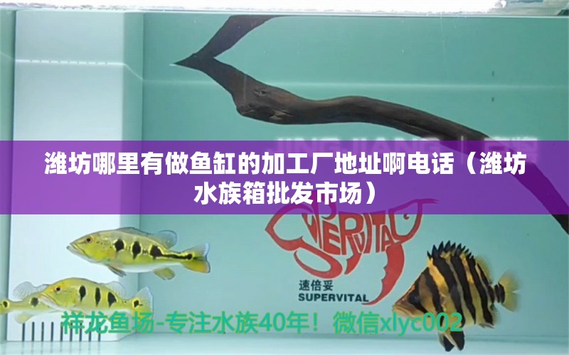 濰坊哪里有做魚(yú)缸的加工廠地址啊電話（濰坊水族箱批發(fā)市場(chǎng)） 魚(yú)缸/水族箱