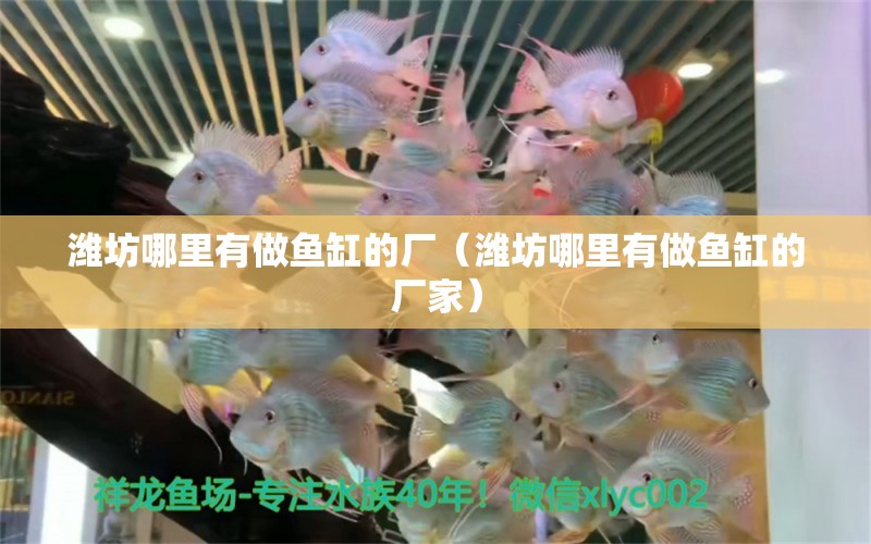 濰坊哪里有做魚缸的廠（濰坊哪里有做魚缸的廠家）