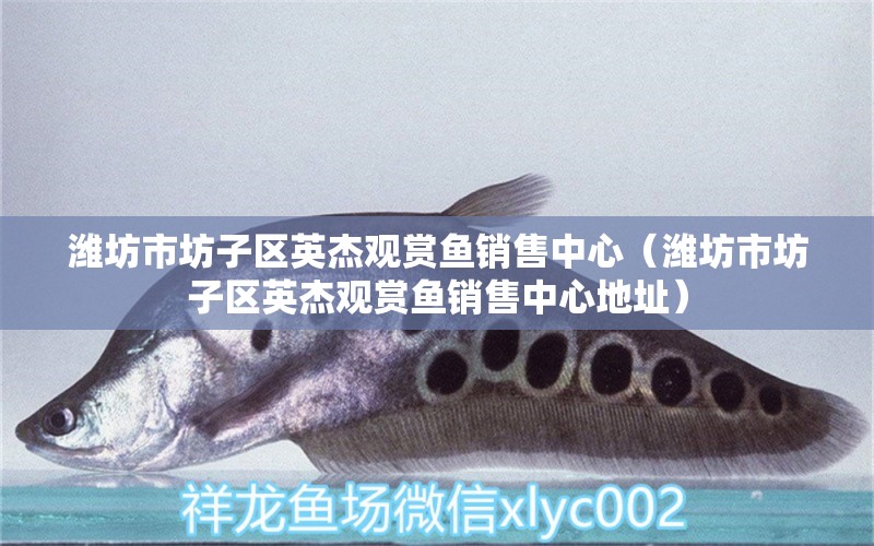 濰坊市坊子區(qū)英杰觀賞魚銷售中心（濰坊市坊子區(qū)英杰觀賞魚銷售中心地址） 全國水族館企業(yè)名錄