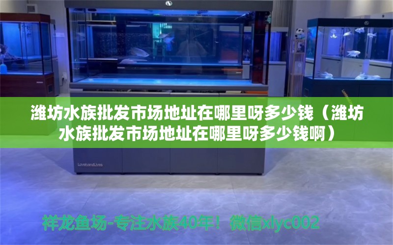 濰坊水族批發(fā)市場地址在哪里呀多少錢（濰坊水族批發(fā)市場地址在哪里呀多少錢?。? title=