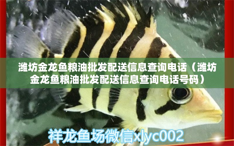 濰坊金龍魚(yú)糧油批發(fā)配送信息查詢(xún)電話（濰坊金龍魚(yú)糧油批發(fā)配送信息查詢(xún)電話號(hào)碼） 金龍魚(yú)糧