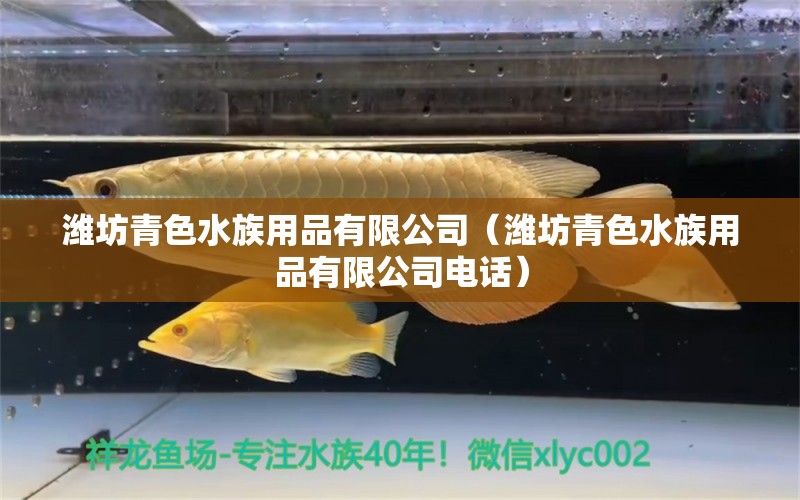 濰坊青色水族用品有限公司（濰坊青色水族用品有限公司電話） 水族用品