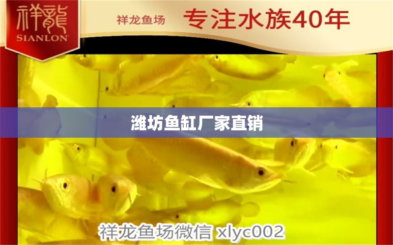 濰坊魚缸廠家直銷