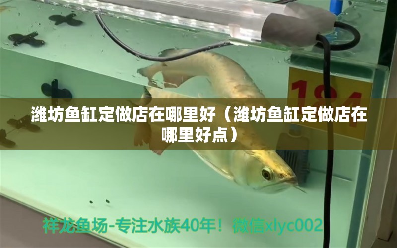 濰坊魚缸定做店在哪里好（濰坊魚缸定做店在哪里好點） 祥龍水族醫(yī)院