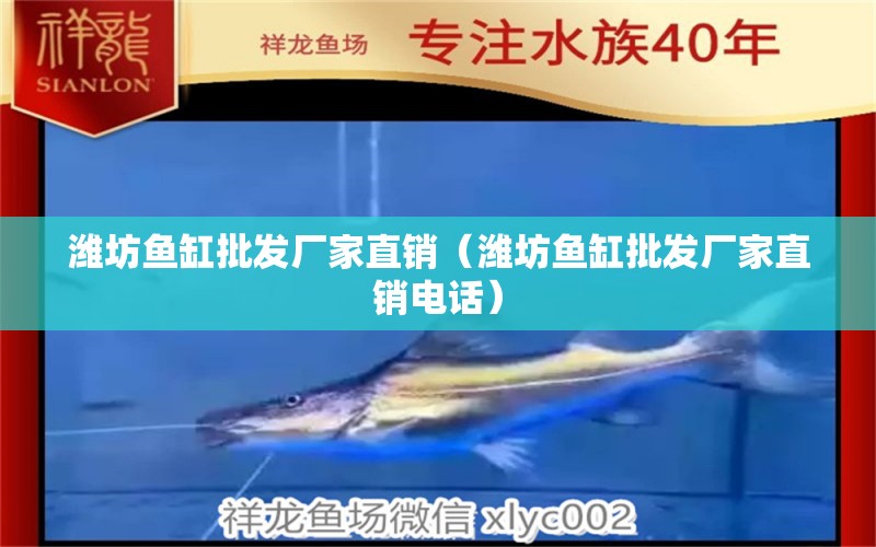 濰坊魚缸批發(fā)廠家直銷（濰坊魚缸批發(fā)廠家直銷電話） 其他品牌魚缸