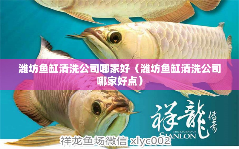 濰坊魚(yú)缸清洗公司哪家好（濰坊魚(yú)缸清洗公司哪家好點(diǎn)）