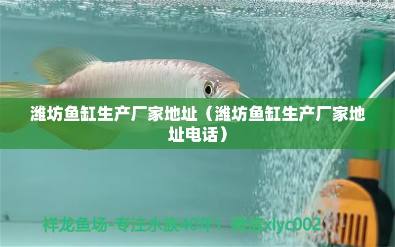 濰坊魚缸生產廠家地址（濰坊魚缸生產廠家地址電話）