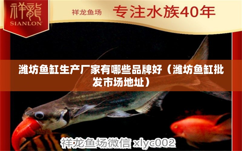 濰坊魚(yú)缸生產(chǎn)廠家有哪些品牌好（濰坊魚(yú)缸批發(fā)市場(chǎng)地址）