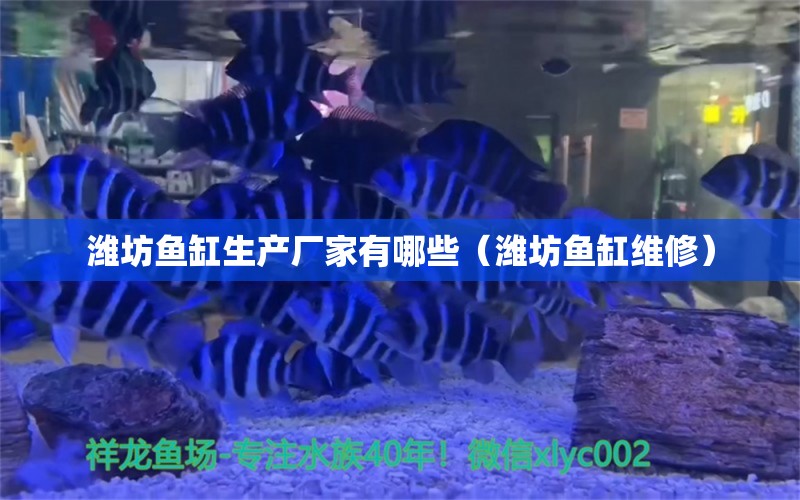 濰坊魚缸生產(chǎn)廠家有哪些（濰坊魚缸維修） 其他品牌魚缸