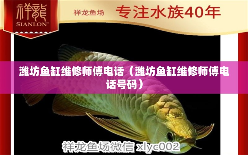 濰坊魚(yú)缸維修師傅電話（濰坊魚(yú)缸維修師傅電話號(hào)碼） 其他品牌魚(yú)缸