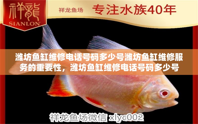 濰坊魚缸維修電話號碼多少號濰坊魚缸維修服務(wù)的重要性，濰坊魚缸維修電話號碼多少號 二氧化碳設(shè)備 第1張