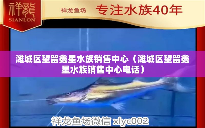 濰城區(qū)望留鑫星水族銷售中心（濰城區(qū)望留鑫星水族銷售中心電話） 全國水族館企業(yè)名錄