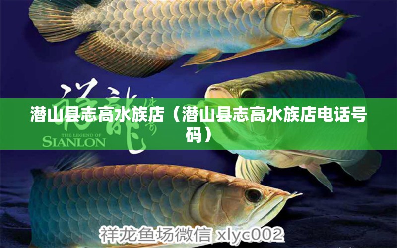 潛山縣志高水族店（潛山縣志高水族店電話號碼）