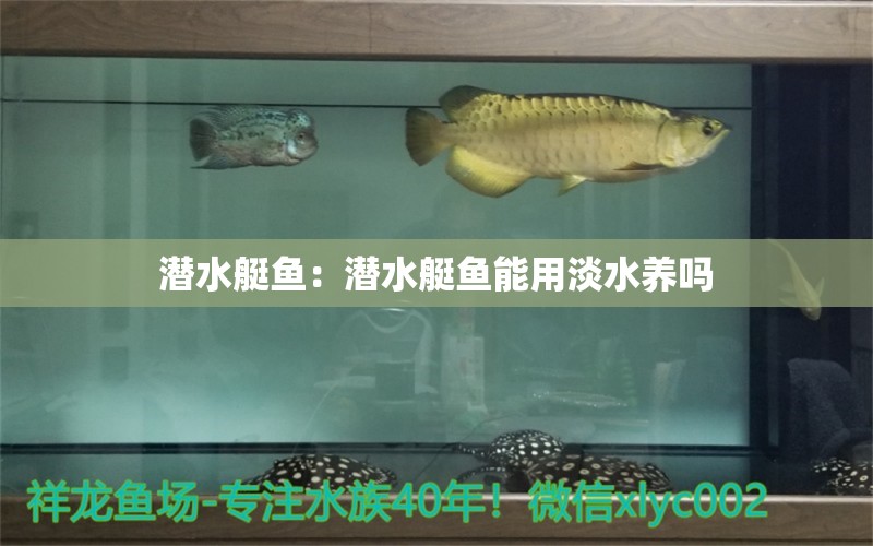 潛水艇魚：潛水艇魚能用淡水養(yǎng)嗎