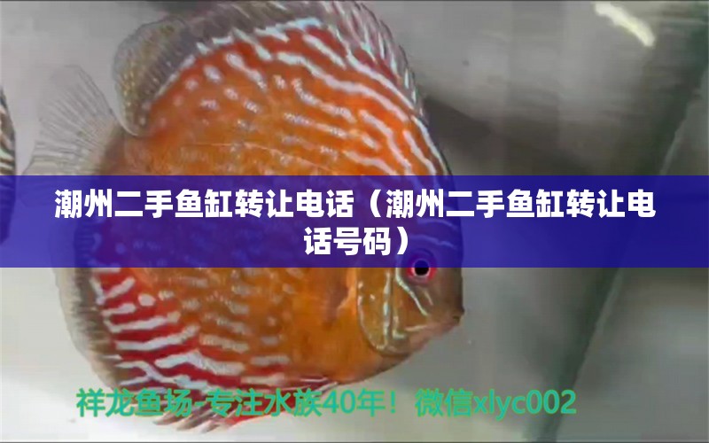 潮州二手魚缸轉讓電話（潮州二手魚缸轉讓電話號碼）