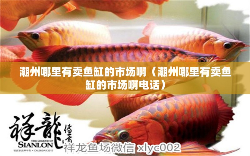 潮州哪里有賣魚缸的市場(chǎng)?。ǔ敝菽睦镉匈u魚缸的市場(chǎng)啊電話） 其他品牌魚缸