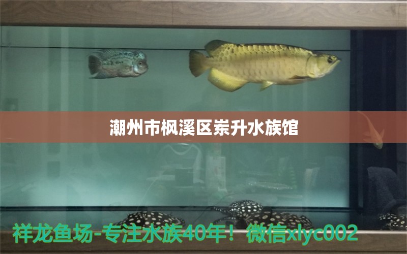 潮州市楓溪區(qū)崠升水族館