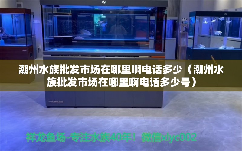 潮州水族批發(fā)市場在哪里啊電話多少（潮州水族批發(fā)市場在哪里啊電話多少號）