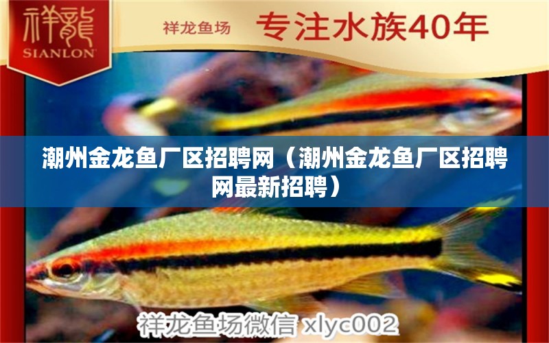 潮州金龍魚廠區(qū)招聘網(wǎng)（潮州金龍魚廠區(qū)招聘網(wǎng)最新招聘）