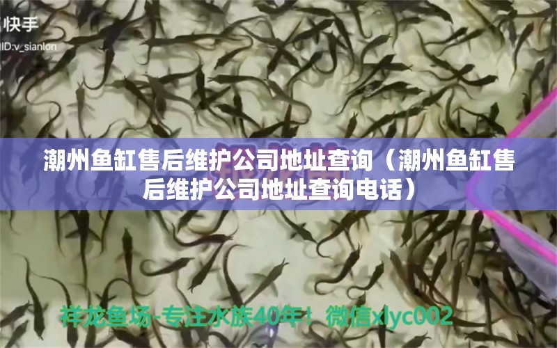 潮州魚缸售后維護公司地址查詢（潮州魚缸售后維護公司地址查詢電話） 其他品牌魚缸