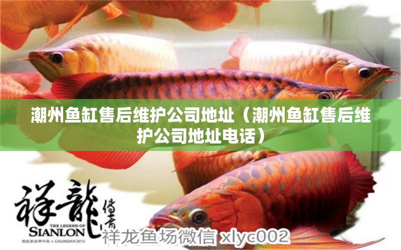 潮州魚缸售后維護(hù)公司地址（潮州魚缸售后維護(hù)公司地址電話） 其他品牌魚缸