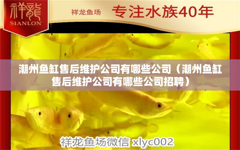 潮州魚缸售后維護公司有哪些公司（潮州魚缸售后維護公司有哪些公司招聘） 其他品牌魚缸