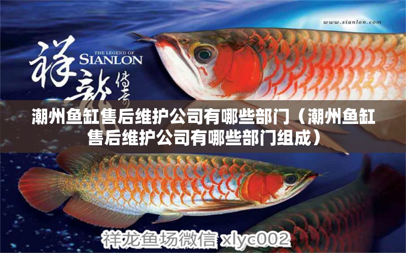 潮州魚缸售后維護(hù)公司有哪些部門（潮州魚缸售后維護(hù)公司有哪些部門組成）