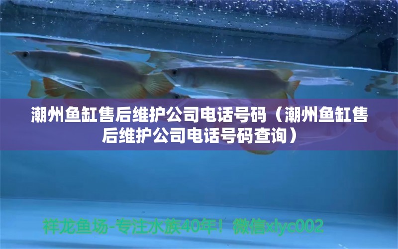 潮州魚缸售后維護(hù)公司電話號碼（潮州魚缸售后維護(hù)公司電話號碼查詢） 其他品牌魚缸