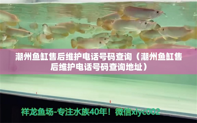 潮州魚缸售后維護(hù)電話號碼查詢（潮州魚缸售后維護(hù)電話號碼查詢地址） 其他品牌魚缸