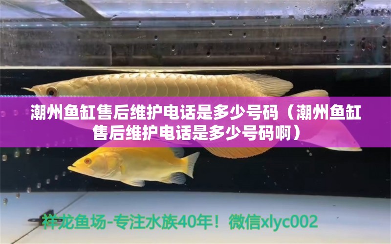 潮州魚(yú)缸售后維護(hù)電話是多少號(hào)碼（潮州魚(yú)缸售后維護(hù)電話是多少號(hào)碼?。?其他品牌魚(yú)缸