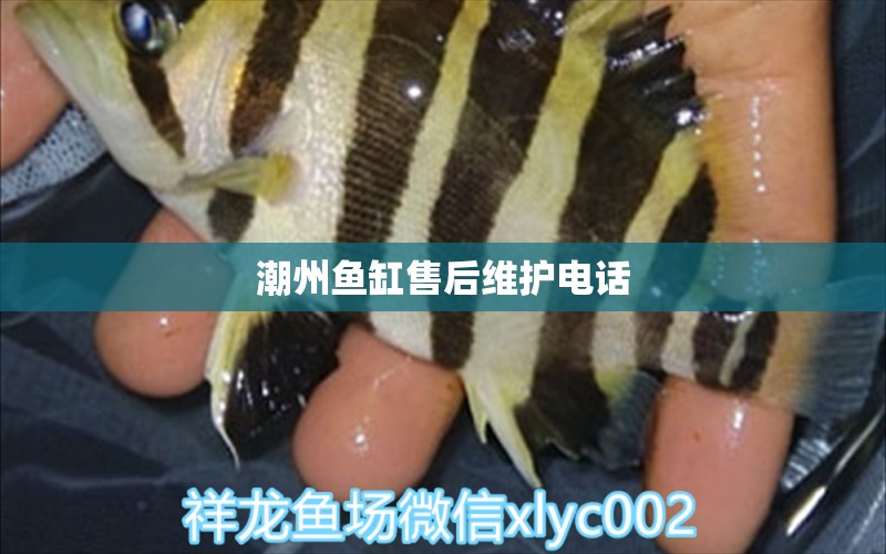 潮州魚缸售后維護(hù)電話 其他品牌魚缸