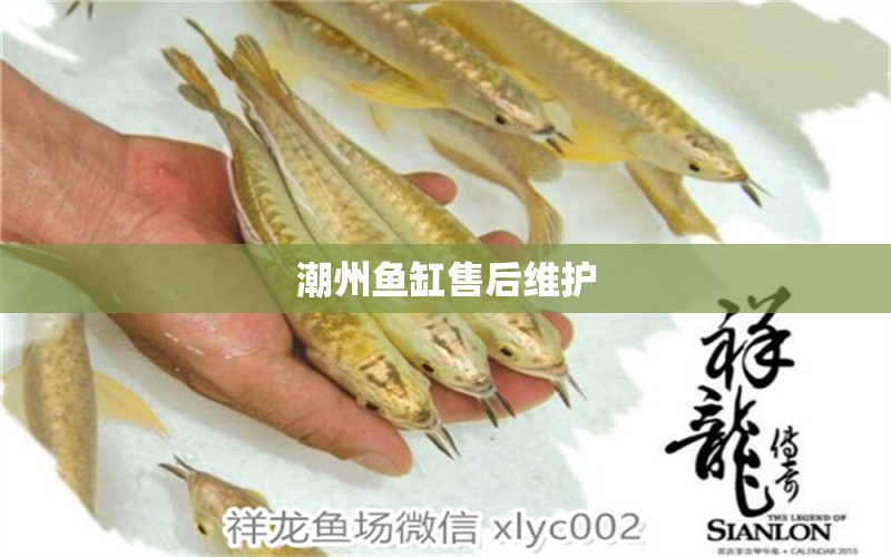 潮州魚缸售后維護(hù) 彩鰈魚缸（彩蝶魚缸）