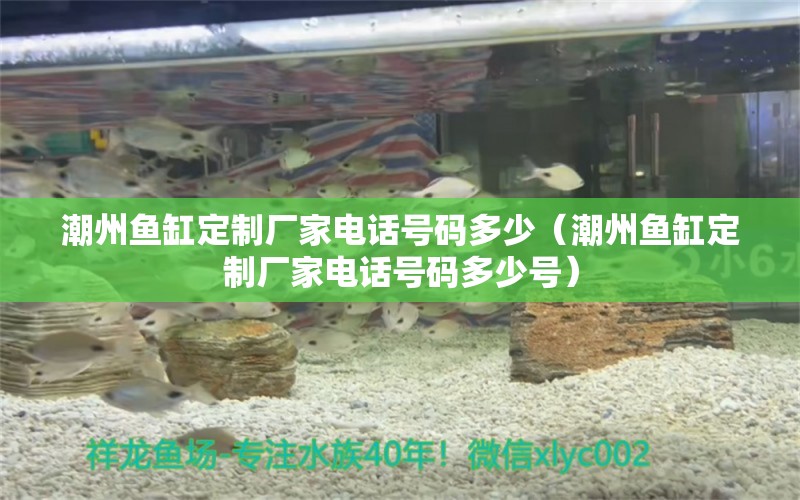 潮州魚缸定制廠家電話號碼多少（潮州魚缸定制廠家電話號碼多少號） 祥龍魚場