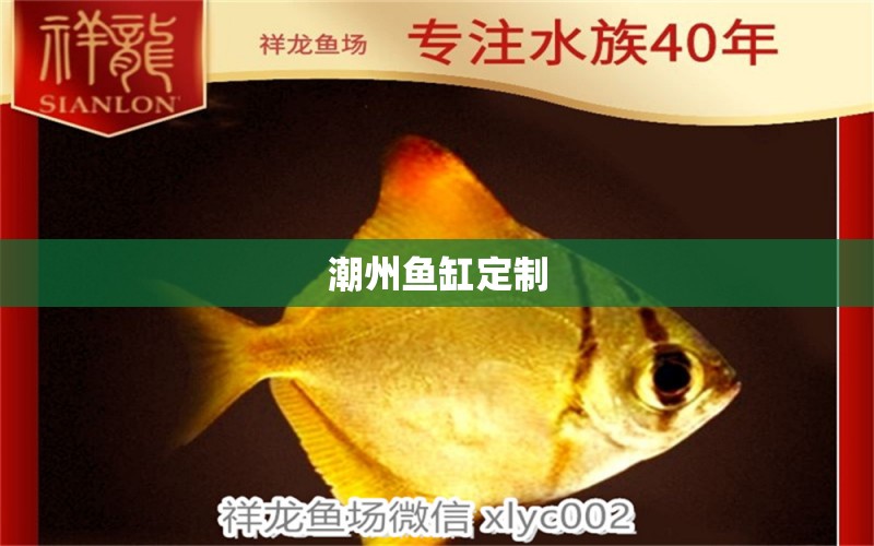 潮州魚缸定制