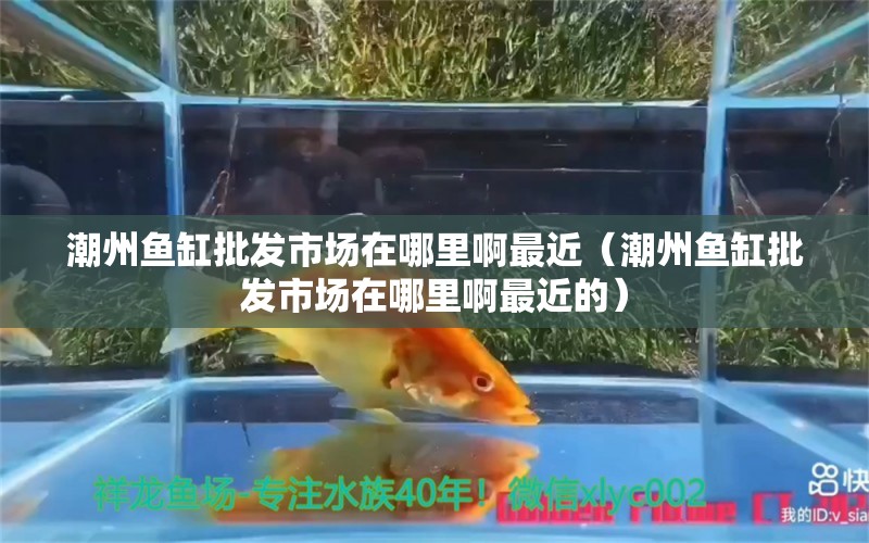 潮州魚缸批發(fā)市場(chǎng)在哪里啊最近（潮州魚缸批發(fā)市場(chǎng)在哪里啊最近的）