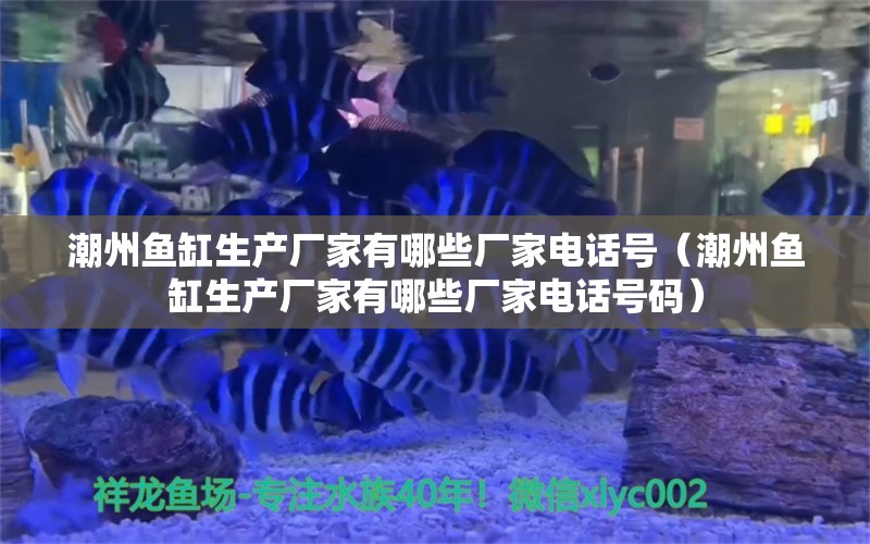 潮州魚缸生產(chǎn)廠家有哪些廠家電話號(hào)（潮州魚缸生產(chǎn)廠家有哪些廠家電話號(hào)碼） 白子銀龍魚苗