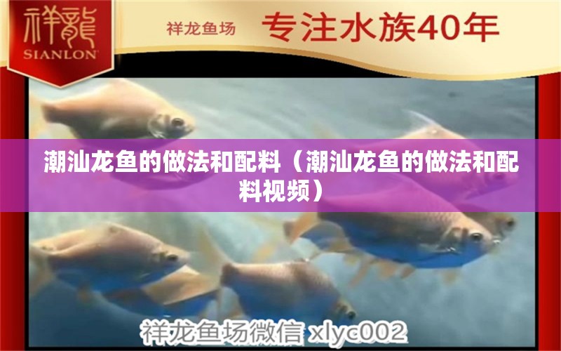 潮汕龍魚(yú)的做法和配料（潮汕龍魚(yú)的做法和配料視頻）