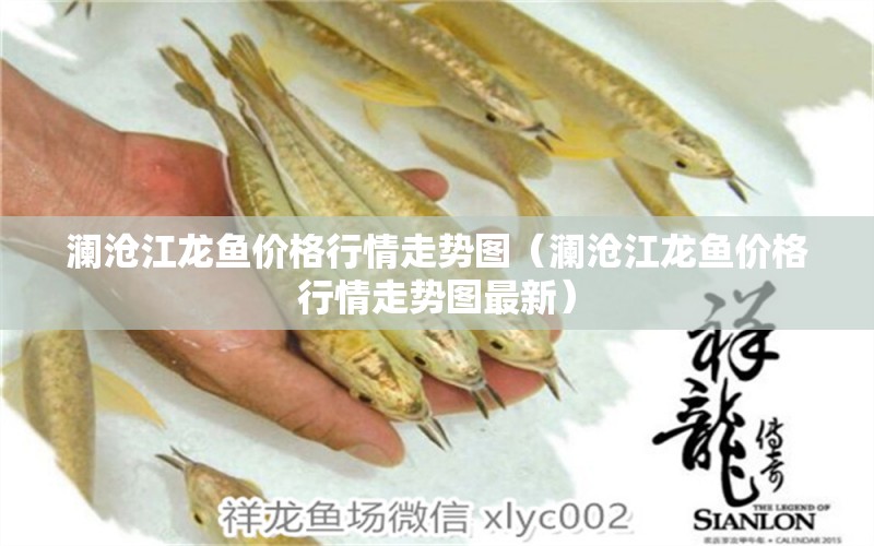 瀾滄江龍魚價(jià)格行情走勢(shì)圖（瀾滄江龍魚價(jià)格行情走勢(shì)圖最新） 祥龍水族醫(yī)院